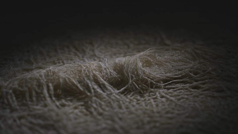 Silk weave light study
